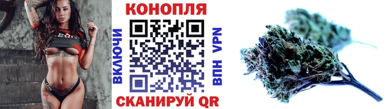 ГАШ Плавск