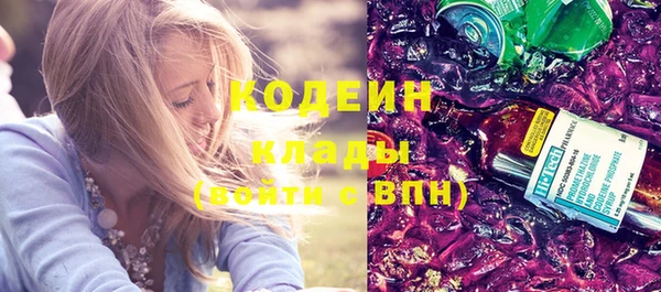 шишки Баксан